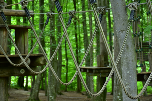 high ropes course